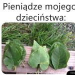 Wtedy jeszcze rosły na drzewach