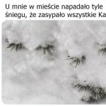 Konkretnie nasypało