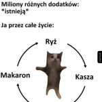 Kulinarne błędne koło