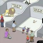 Zoo
