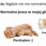 Normalna praca w mojej głowie