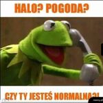 Pogoda