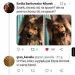 Edytka