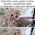 Większości tego brakuje