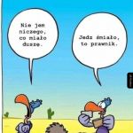 Prawnicy