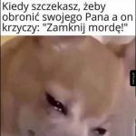 Niedobry pańcio
