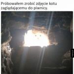 Zły kot