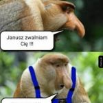 Januszex