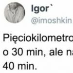 Nie ma sensu
