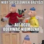 Coś w tym jest