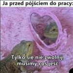 Dam radę