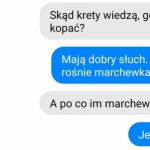 Wzrok