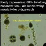 Doceńmy