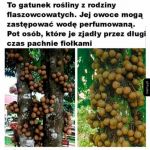 Tak