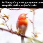 Zaczynamy