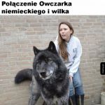 Piękny