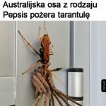 Dramat