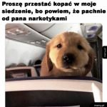 Nie zadzieraj