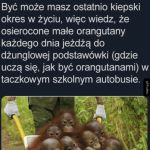 Na gorsze chwile