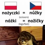 Fałszywi przyjaciele