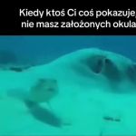 Krótkowidz w akcji