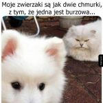 Chmurki