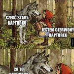 Szary kapturek