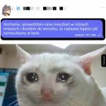 Pozostało zbudować szałas w lesie