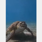 Jak śmiesz tak źle smakować?!