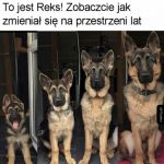 Zrozumiał życie