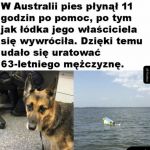Dobry pieseł