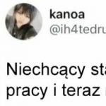 Przekichane