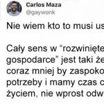 Sens rozwiniętej gospodarki