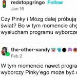 Pinky i Mózg