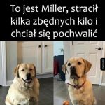 Stracił i posmutniał