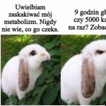 Zobaczymy