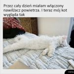 Został nawilżony