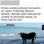Posypałyby się oscary