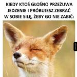 Granice wytrzymałości
