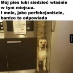 Idealnie
