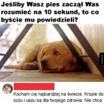 Więź z psem