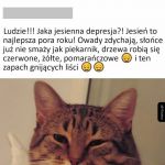 Jesień