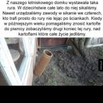 No to przypał