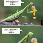 Urwie mu łeb!