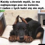 Prawda