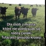 Teraz już wiecie