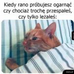 Trudno ogarnąć
