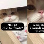 Dobra propozycja