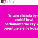 Brwi parlamentarne
