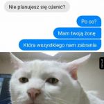 Jednej żony wystarczy